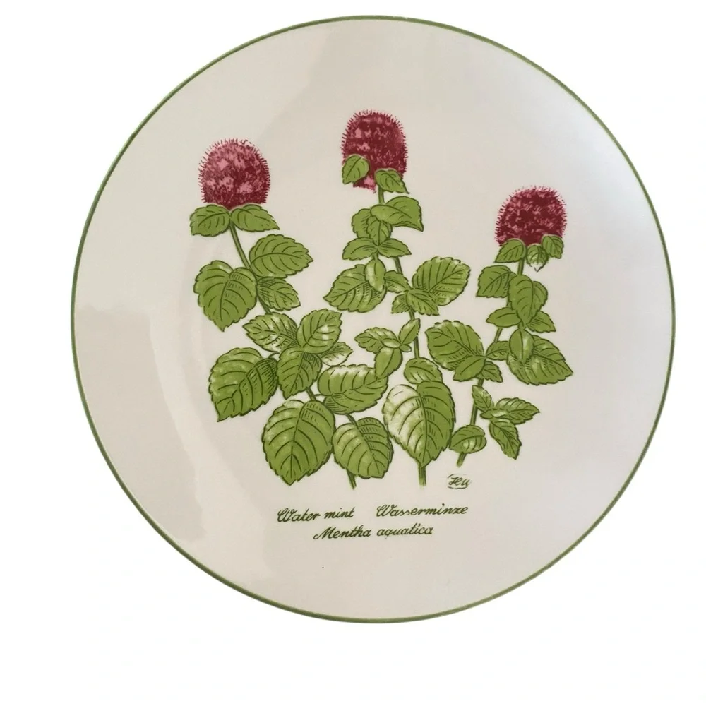 Bareuther Waldsassen Bavaria Botanic Flower berries 142 Salad Plates green trim